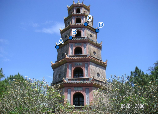 Hình minh họa câu hỏi